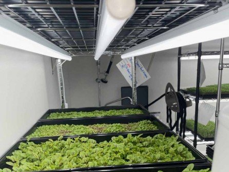 Hydroponic Containers: The Ultimate Guide